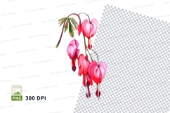 Vibrant bleeding heart flowers clipart png Product Image 1