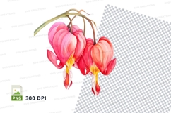 Pink bleeding heart flowers clipart png Product Image 1