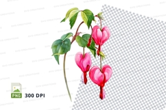 Pink bleeding heart flowers clipart png Product Image 1