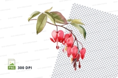 Watercolor illustration of red bleeding heart flowers Product Image 1