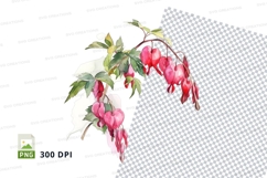 Watercolor bleeding heart flowers clipart png Product Image 1
