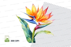 Vibrant bird of paradise flower clipart png Product Image 1