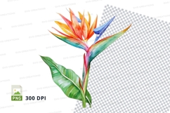 Vibrant bird of paradise flower clipart png Product Image 1