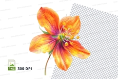 Vibrant orange flower clipart png Product Image 1
