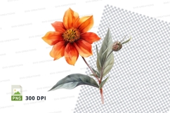 Vibrant orange flower clipart png Product Image 1