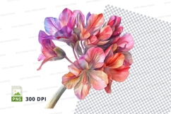 Vibrant geranium flower clipart png Product Image 1