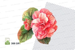 Pink and white hibiscus flower with green leaves Product Image 1