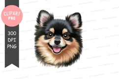 Happy pomeranian puppy clipart png Product Image 1