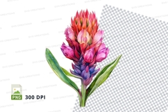 Vibrant flower clipart png Product Image 1