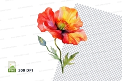 Vibrant poppy flower clipart png Product Image 1