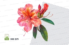 Vibrant rhododendron clipart png Product Image 1