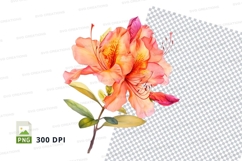 Vibrant flower clipart png Product Image 1