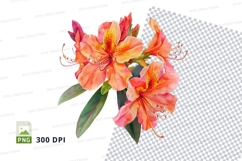 Vibrant flower bouquet Product Image 1