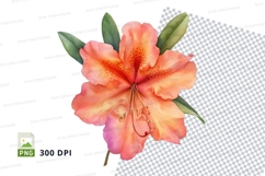 Vibrant orange flower clipart png Product Image 1