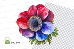 Colorful anemone flower clipart png Product Image 1