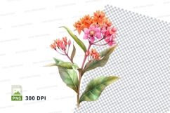 Vibrant flower clipart png Product Image 1