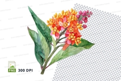 Vibrant flower clipart png Product Image 1