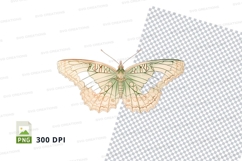 Intricate butterfly clipart png Product Image 1