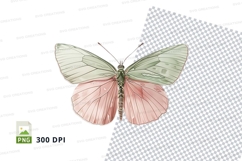 Elegant butterfly clipart png Product Image 1