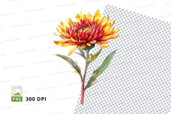 Vibrant chrysanthemum clipart png Product Image 1