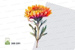 Vibrant flower clipart png Product Image 1