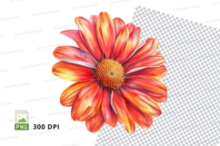 Vibrant orange flower clipart png Product Image 1
