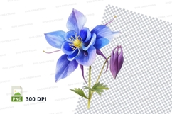 Blue columbine flower clipart png Product Image 1