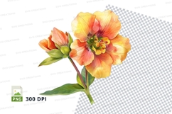 Vibrant orange hibiscus flower clipart png Product Image 1
