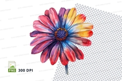 Colorful daisy clipart png Product Image 1
