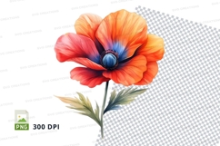 Vibrant anemone flower clipart png Product Image 1