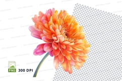 Vibrant gerbera daisy clipart png Product Image 1