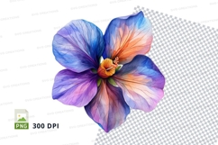 Colorful hibiscus flower Product Image 1