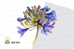 Blue agapanthus flower clipart png Product Image 1