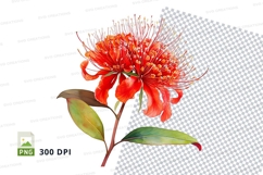 Vibrant red flower clipart png Product Image 1