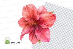 Pink hibiscus flower clipart png Product Image 1
