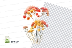 Watercolor autumn flowers clipart png Product Image 1