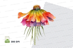 Colorful flower clipart png Product Image 1