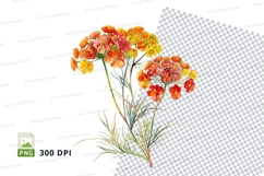Vibrant wildflowers clipart png Product Image 1