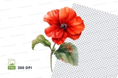 Vibrant red poppy flower clipart png Product Image 1