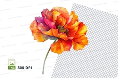 Vibrant orange poppy flower clipart png Product Image 1