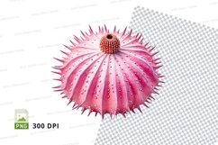 Pink sea urchin clipart Product Image 1