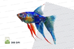 Vibrant betta fish Product Image 1
