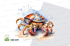 Hermit crab on the beach Product Image 1