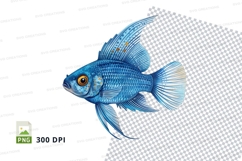 Blue betta fish Product Image 1