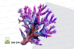 Colorful coral reef Product Image 1