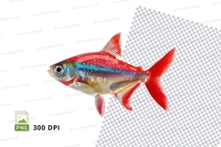 Colorful tropical fish Product Image 1