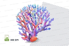 Colorful coral reef Product Image 1