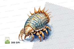 Illustration of a pill bug Product Image 2
