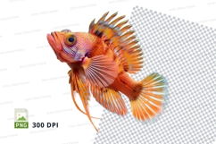 Vibrant orange fish Product Image 1