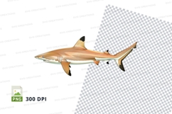 Shark clipart png Product Image 1